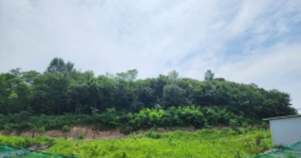 울산광역시 울주군 두동면 천전리 OOOO 임야 경매 물건 이미지