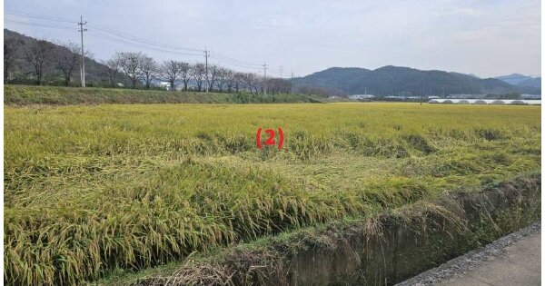 충청남도 천안시 동남구 수신면 장산리 OOOOO 답 경매 물건 이미지