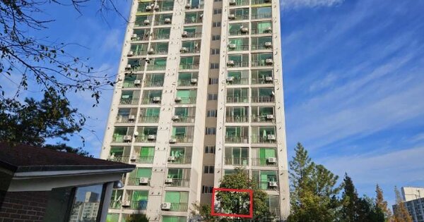 충남 아산시 탕정면 호산리 497, 107동 OOOOOO OOOOOOO 아파트 경매 물건 이미지