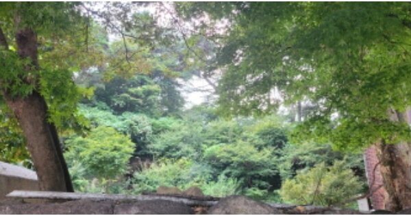 경상북도 칠곡군 가산면 다부리 OOO O OOO 답 경매 물건 이미지