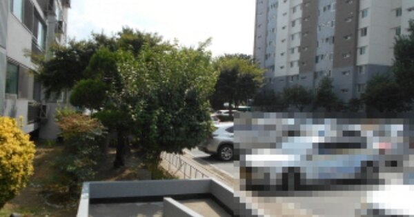 대전 서구 괴정동 418, 103동 OOOOOO OOOOOOOOOOO 아파트 경매 물건 이미지