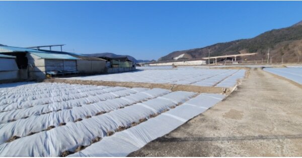 경상북도 영천시 신녕면 화남리 OOO O OOO 답 경매 물건 이미지