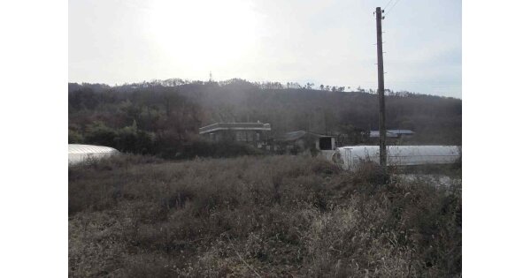 충청남도 부여군 장암면 하황리 OOOOO 대지 경매 물건 이미지