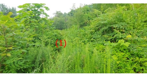 경기도 가평군 가평읍 마장리 OOOOO O OOOO 전 경매 물건 이미지