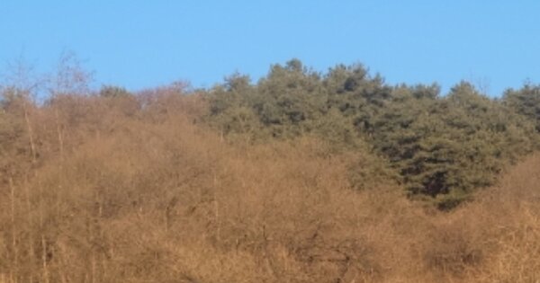 경상북도 영주시 부석면 상석리 OO 전 경매 물건 이미지