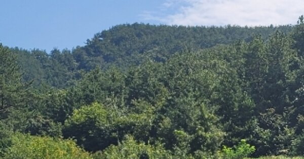 경상남도 통영시 도산면 도선리 OOO 답 경매 물건 이미지