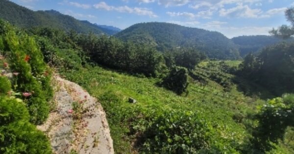 경상남도 통영시 도산면 수월리 OOOOOOO 임야 경매 물건 이미지