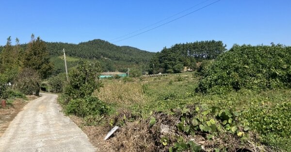 충청남도 태안군 소원면 송현리 OOO O OOO 답 경매 물건 이미지