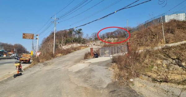 충청남도 아산시 염치읍 서원리 O O OOO 답 경매 물건 이미지