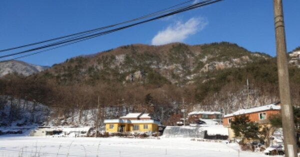 충청북도 단양군 단성면 벌천리 OOO O OOO 과수원 경매 물건 이미지
