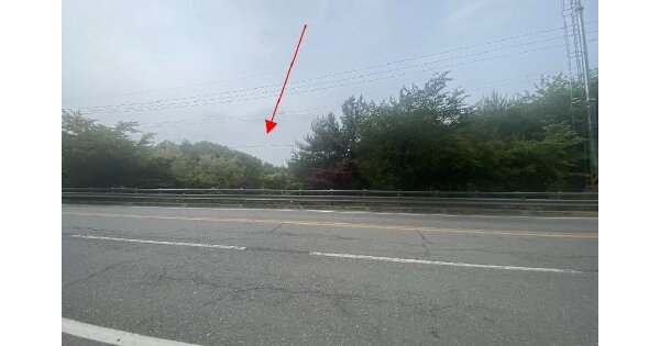 충청북도 단양군 단성면 장회리 OOOOO O OOO 임야 경매 물건 이미지