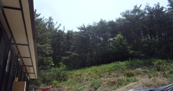 경상남도 창녕군 유어면 대대리 OOOOO 전 경매 물건 이미지