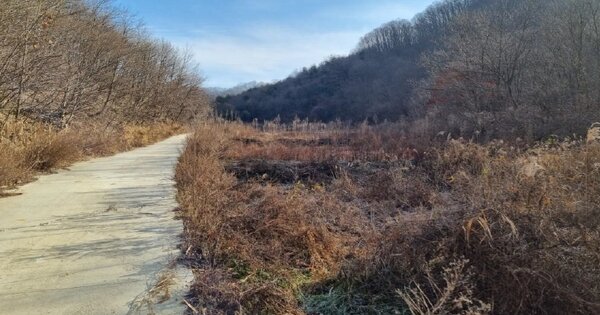 충청남도 예산군 신양면 황계리 OOOO O OOO 답 경매 물건 이미지