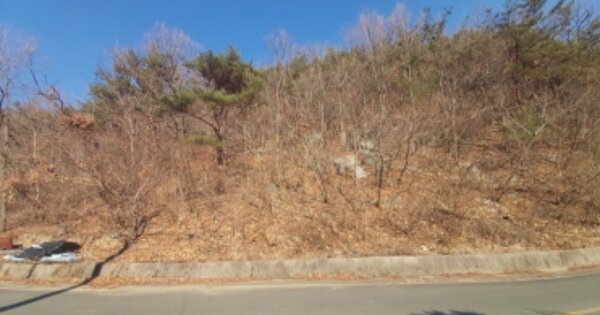 경상남도 고성군 회화면 삼덕리 OOOOOO O OOO 임야 경매 물건 이미지