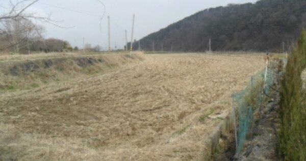 충청남도 서산시 팔봉면 금학리 OOO 답 경매 물건 이미지