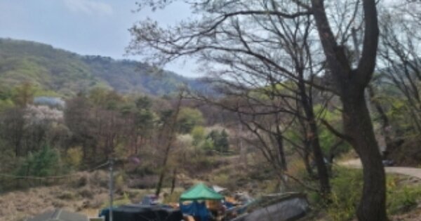 경기도 하남시 배알미동 OOOOOO 임야 경매 물건 이미지