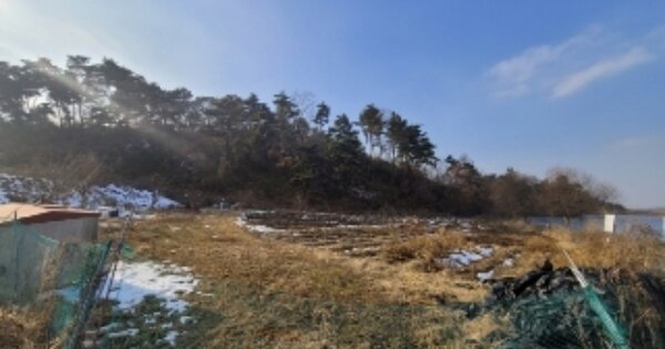 충청북도 청주시 청원구 내수읍 비상리 OOO 전 경매 물건 이미지