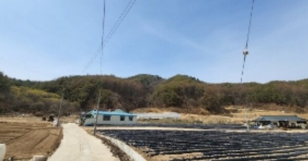 경상북도 안동시 도산면 온혜리 OOOOOO 임야 경매 물건 이미지