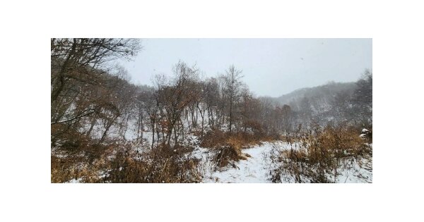 충청남도 천안시 동남구 광덕면 무학리 OOOOO 임야 경매 물건 이미지