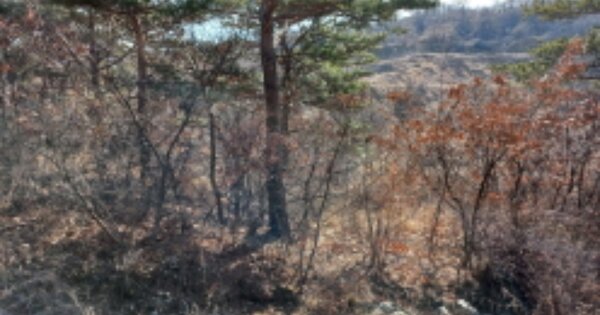 경상남도 산청군 산청읍 차탄리 OOO 답 경매 물건 이미지