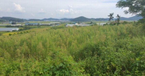 전라남도 장흥군 관산읍 하발리 OOOOOO 전 경매 물건 이미지