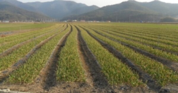전라북도 부안군 하서면 백련리 OOOOO 전 경매 물건 이미지