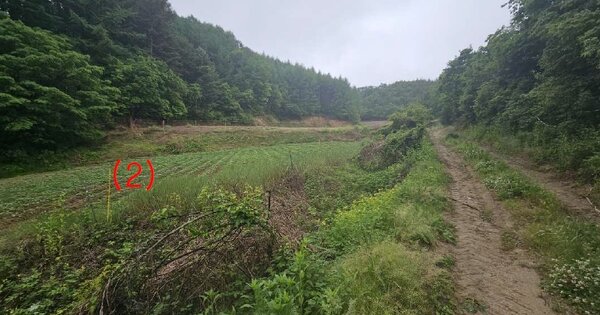 강원도 강릉시 왕산면 대기리 OOO 전 경매 물건 이미지