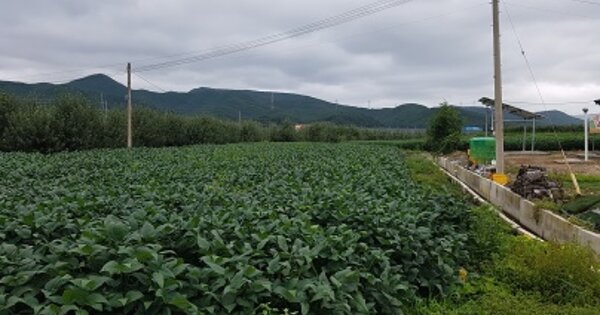경상북도 의성군 단촌면 병방리 OOOOOO 답 경매 물건 이미지