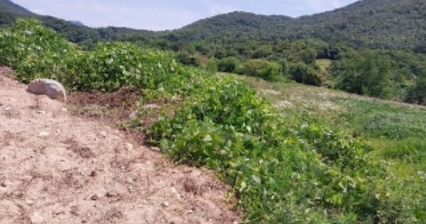 충청남도 공주시 계룡면 하대리 OOOOO 답 경매 물건 이미지