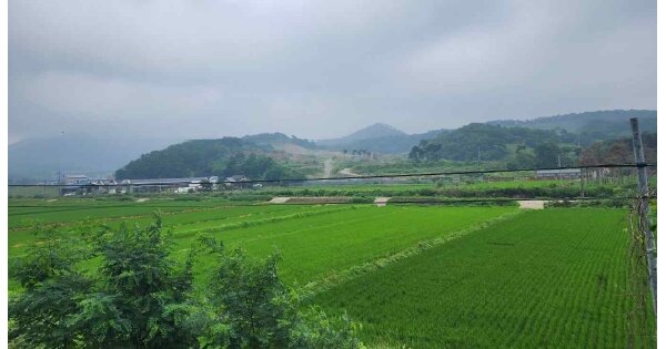 충청남도 홍성군 갈산면 운곡리 OOOOO O OOOO 임야 경매 물건 이미지