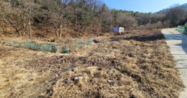 경기도 여주시 점동면 삼합리 51-6 전 경매 물건 이미지