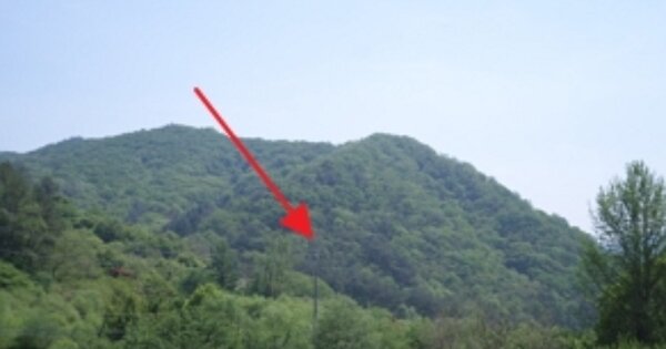 강원도 원주시 지정면 판대리 OOOOOO O OOO 임야 경매 물건 이미지