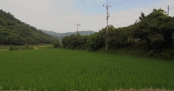 충청남도 부여군 은산면 합수리 OOOOO 답 경매 물건 이미지