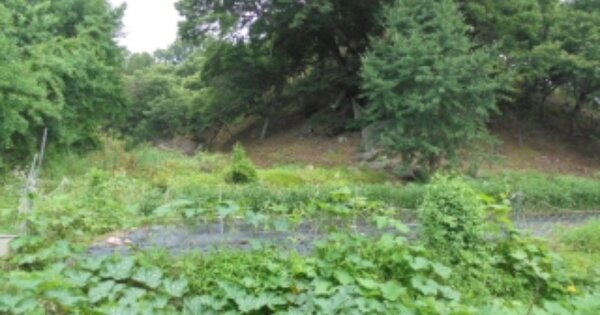 충청남도 부여군 은산면 합수리 OOOOO O OOO 전 경매 물건 이미지