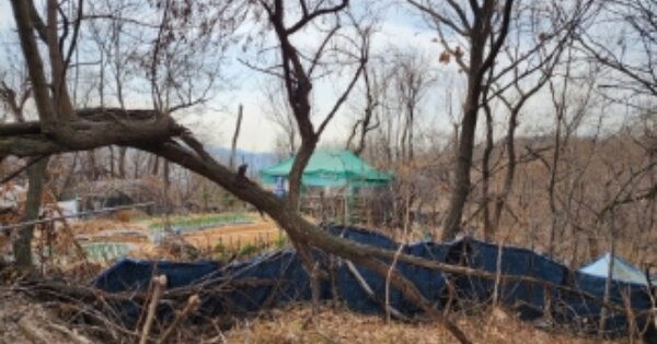 경기도 하남시 초이동 OOOOO 임야 경매 물건 이미지