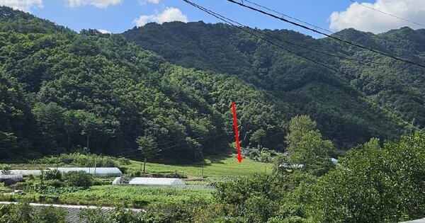 강원특별자치도 동해시 신흥동 OOO 전 경매 물건 이미지