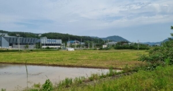 경상북도 경주시 문무대왕면 어일리 OOOOOOO O OOO 답 경매 물건 이미지