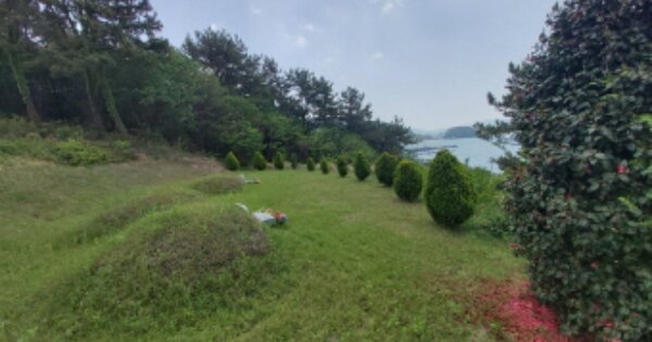 경상남도 고성군 고성읍 신월리 OOOOO 임야 경매 물건 이미지