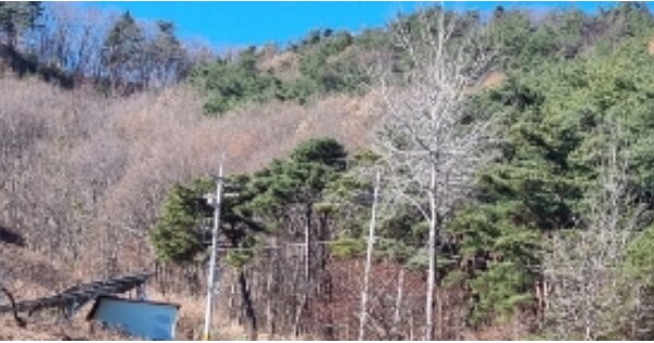 전라북도 장수군 장수읍 노하리 OOO 임야 경매 물건 이미지