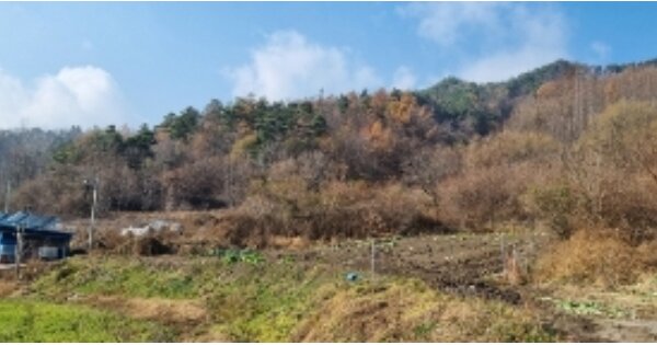 전라북도 장수군 천천면 장판리 OOOOO 임야 경매 물건 이미지