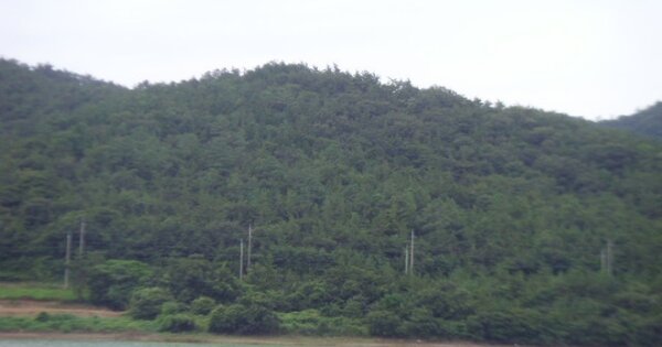 전라남도 해남군 화원면 신덕리 OOOOOO 임야 경매 물건 이미지