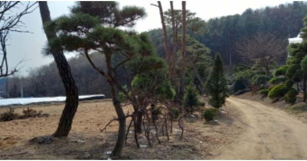 경기도 포천시 소흘읍 무림리 OOOOO 답 경매 물건 이미지