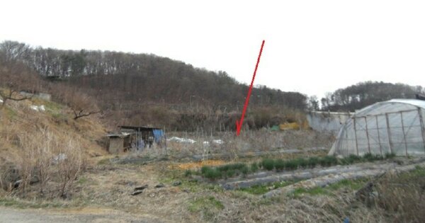 경기도 화성시 향남읍 길성리 OOO 대지 경매 물건 이미지