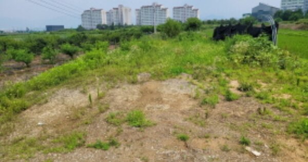 경상북도 고령군 다산면 곽촌리 OOO 답 경매 물건 이미지