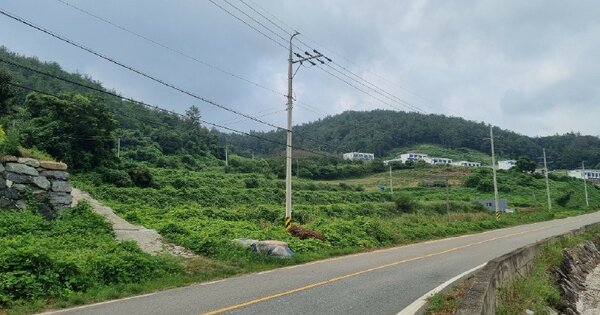 전라남도 여수시 소라면 사곡리 OOO 답 경매 물건 이미지