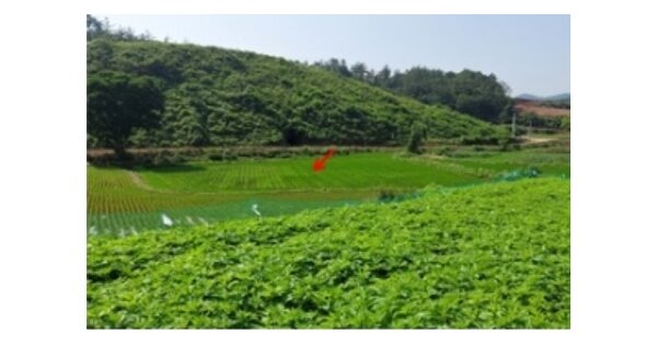 전라남도 함평군 손불면 죽장리 OOO 전 경매 물건 이미지