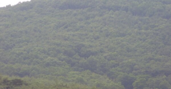 경상남도 하동군 북천면 화정리 OOOO 답 경매 물건 이미지