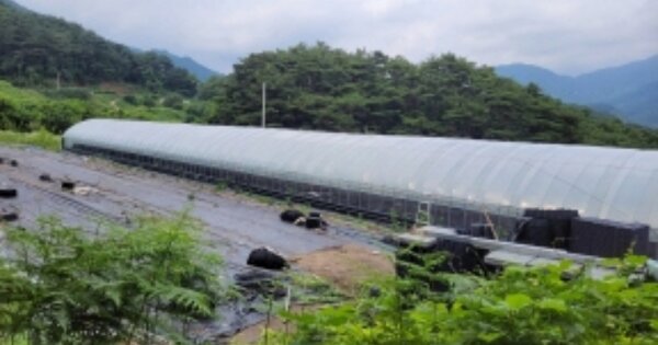 전라남도 구례군 산동면 계천리 OOO 답 경매 물건 이미지