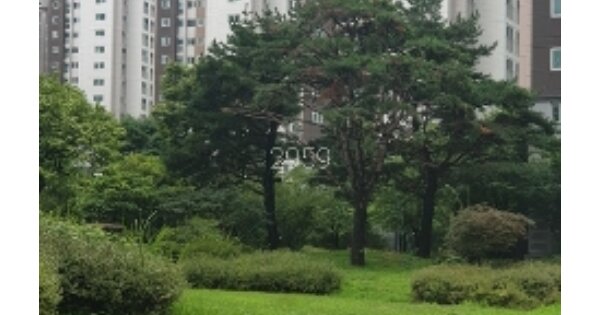 부산 기장군 정관읍 매학리 723, 204동 OOOOOOOO OOOOOOOOOOOO 아파트 경매 물건 이미지