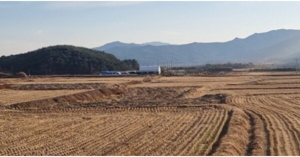 경상북도 경주시 보문동 OOO 답 경매 물건 이미지